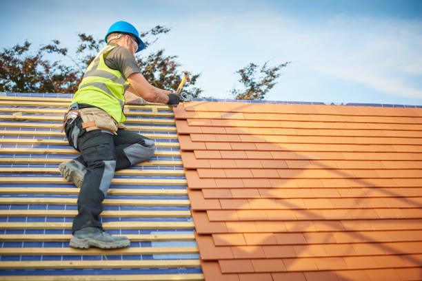 Best Gutter Installation and Repair  in Lathrop, MO