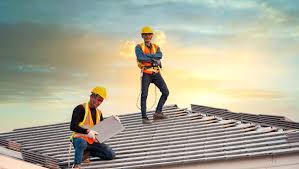 Best Roof Moss and Algae Removal  in Lathrop, MO